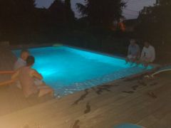 IMG_20180724_214630405.jpg